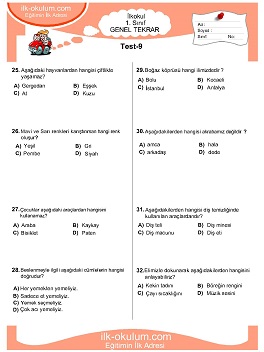 ilkokul 1. Sınıf Genel Tekrar Testleri 